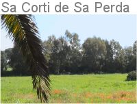 Sa Corti de Sa Perda